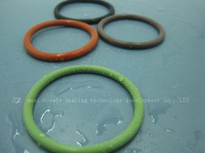 進(jìn)口耐侵蝕氟膠密封圈 型號(hào)規(guī)格與價(jià)格解析