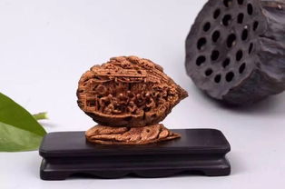 山東工藝美術(shù)學(xué)院研培學(xué)員創(chuàng)新產(chǎn)品設(shè)計(jì)大獎賽喜獲佳績，彰顯收藏品鑒定評估服務(wù)價值